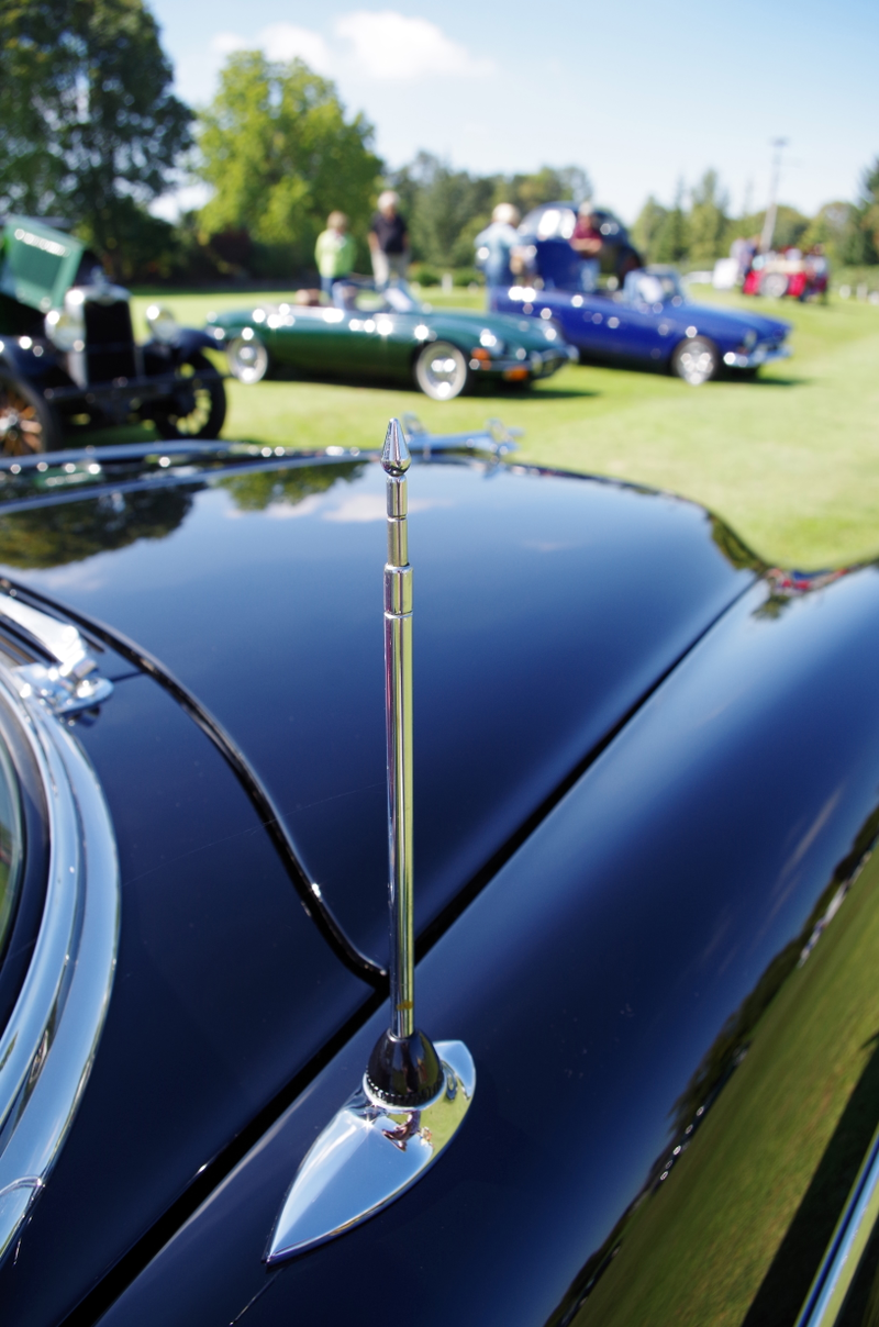 Illustration for article titled Concours on the Green. Eugene, Oregon.